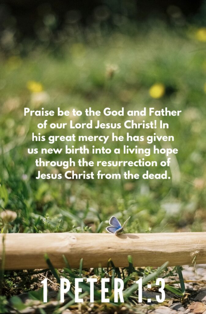 1 PETER 1 3