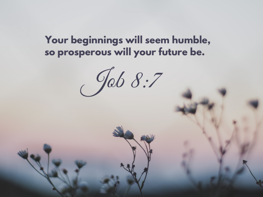 Job 8:7
