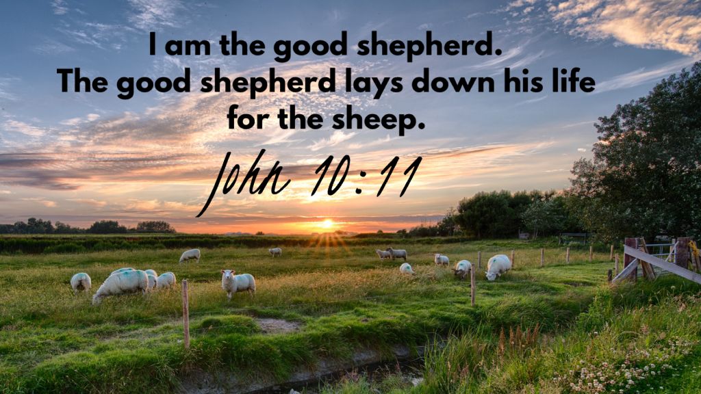 John 10:11