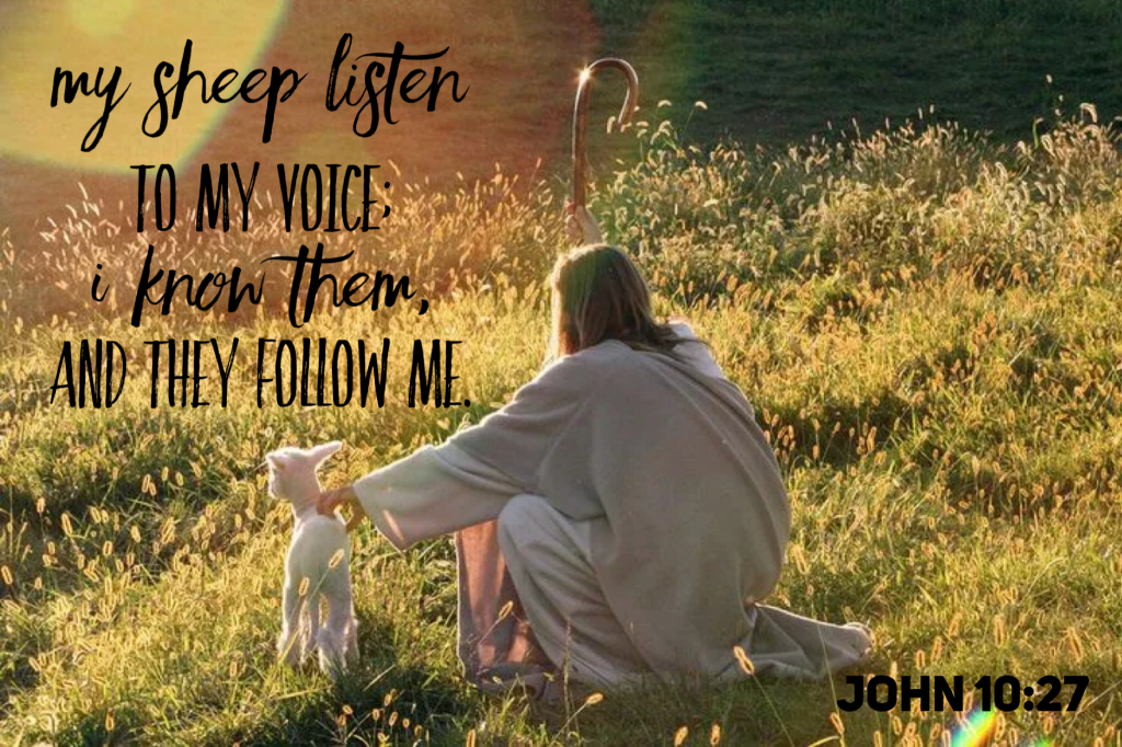 John 10:27