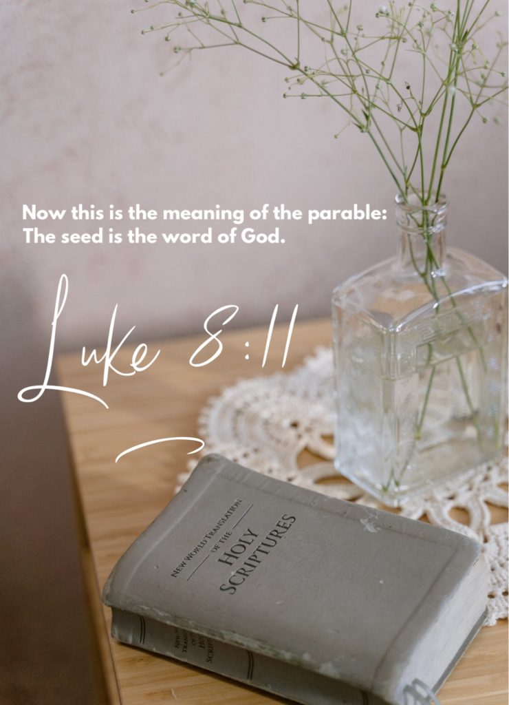 Luke 8:11