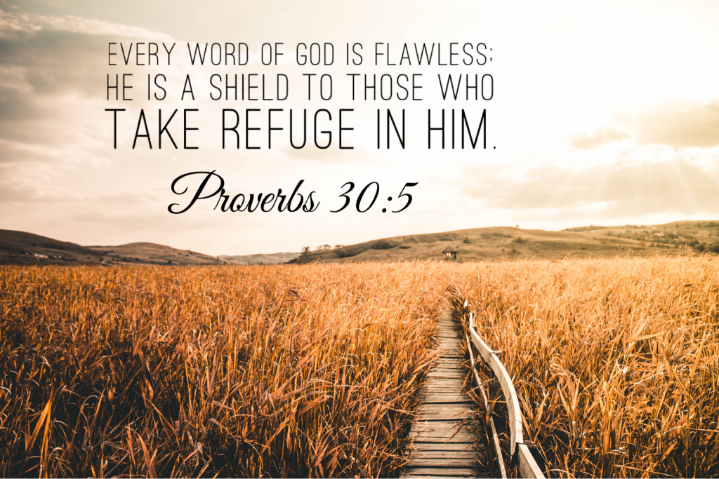 Proverbs 30:5