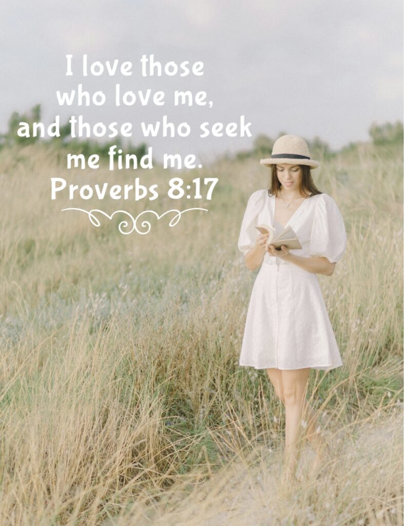 Proverbs 8:17