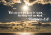 Matthew 5:8