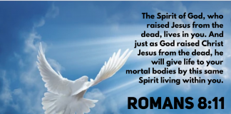 Romans 8:11