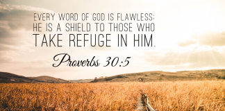 Proverbs 30:5