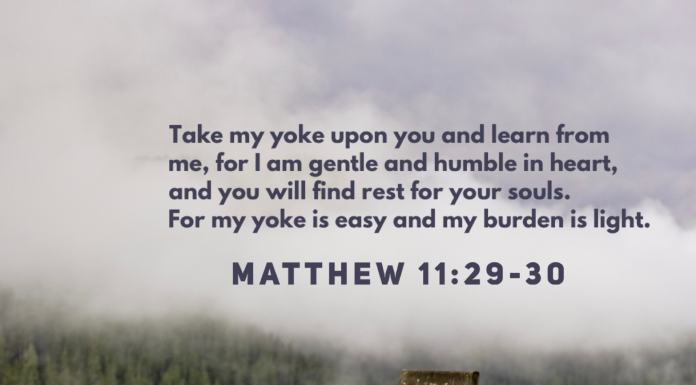 Matthew 11:29-30