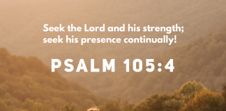 Psalm 105:4
