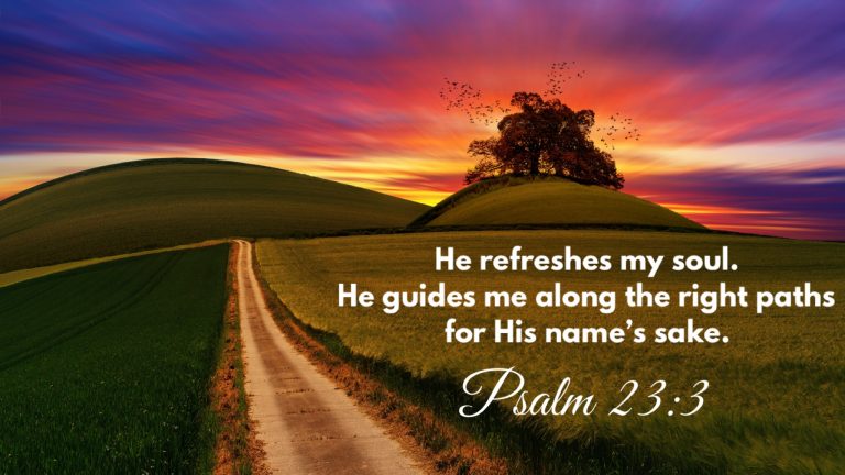 Psalm 23:3