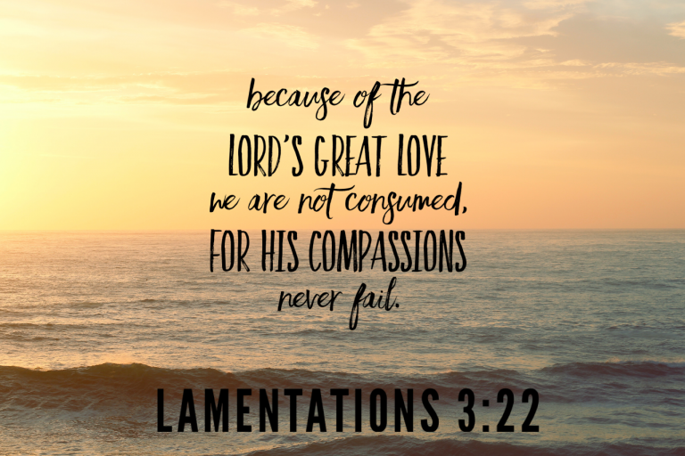 Lamentations 3:22