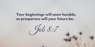 Job 8:7