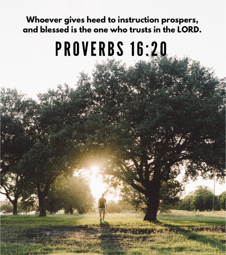 Proverbs 16:20
