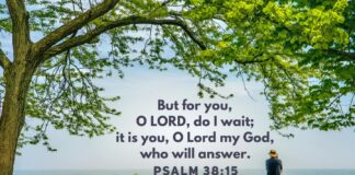 Psalm 38:15 Psalm 38:15