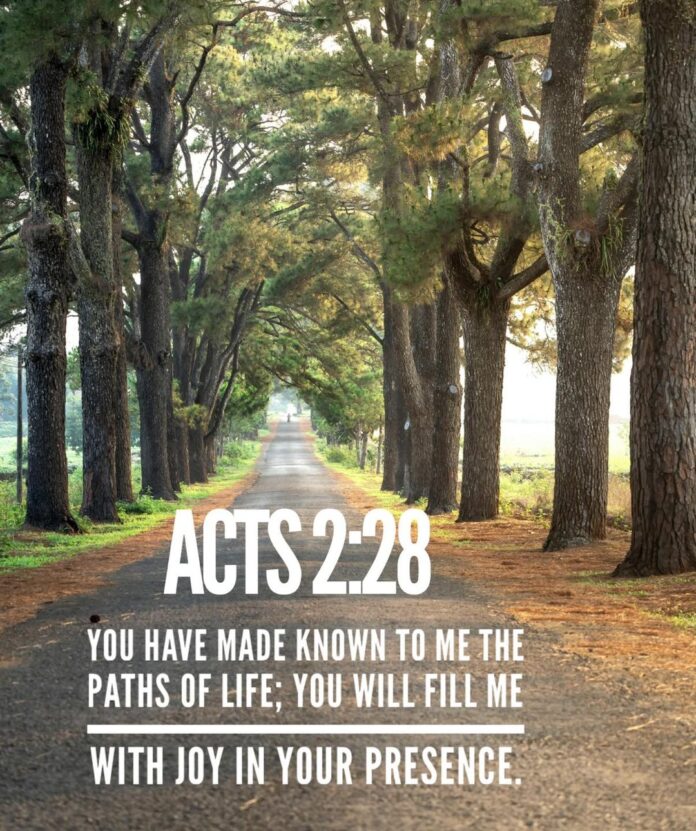 Acts 2:28