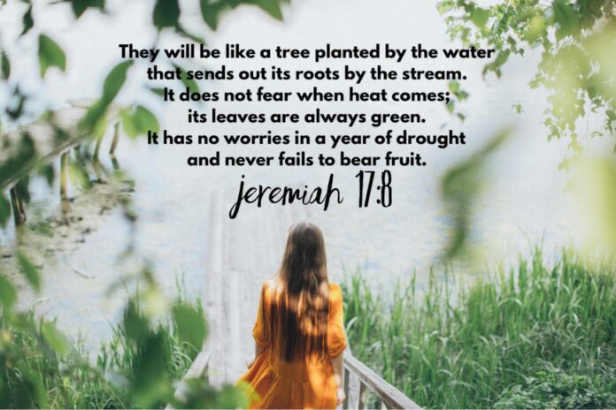 Jeremiah 17-8
