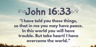 John 16:33