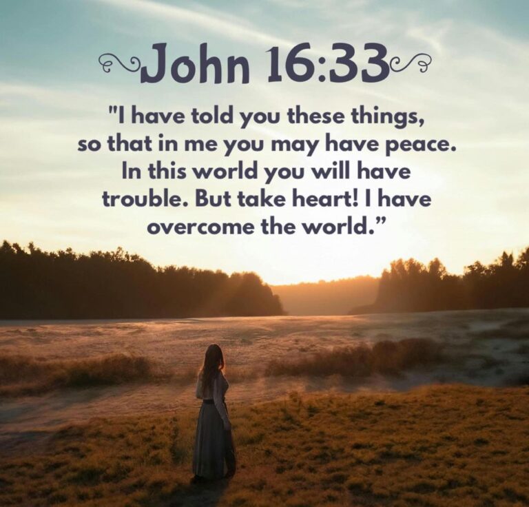John 16:33