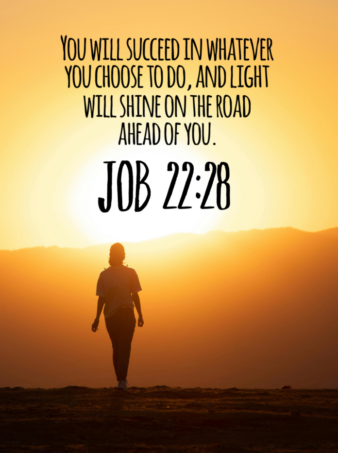 Job 22:28