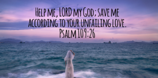 Psalm 109:26 Psalm 109:26