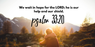 Psalm 33:20 Psalm 33:20