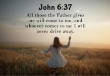 John 6:37 John 6:37