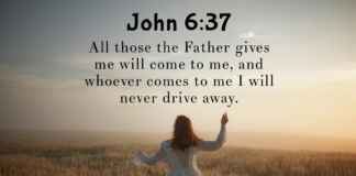 John 6:37 John 6:37
