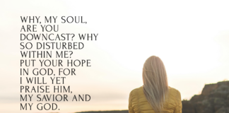 Psalm 42:11 Psalm 42 11