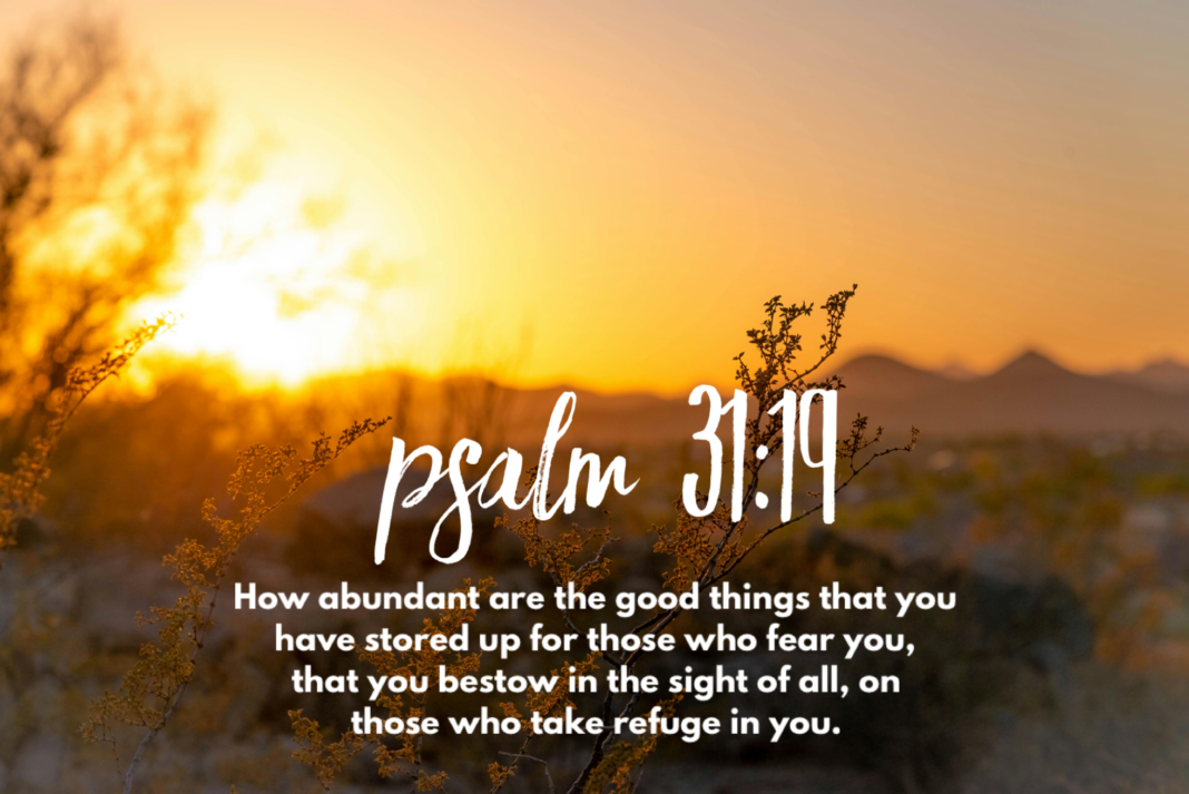 Psalm 31 19 Psalm 31:19