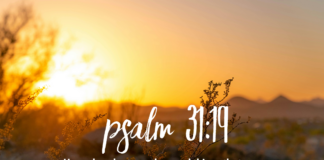 Psalm 31:19 Psalm 31:19