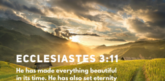 Ecclesiastes 3:11 Ecclesiastes 3:11