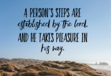 Psalm 37:23 Psalm 37 23