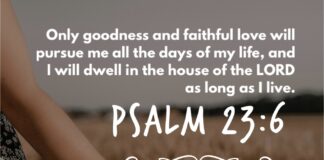 Psalm 23:6 Psalm 23 6