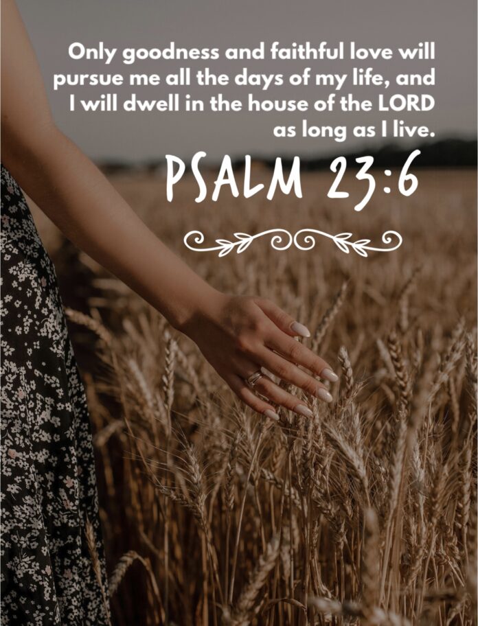 Psalm 23 6