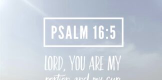 Psalm 16:5 Psalm 16 5