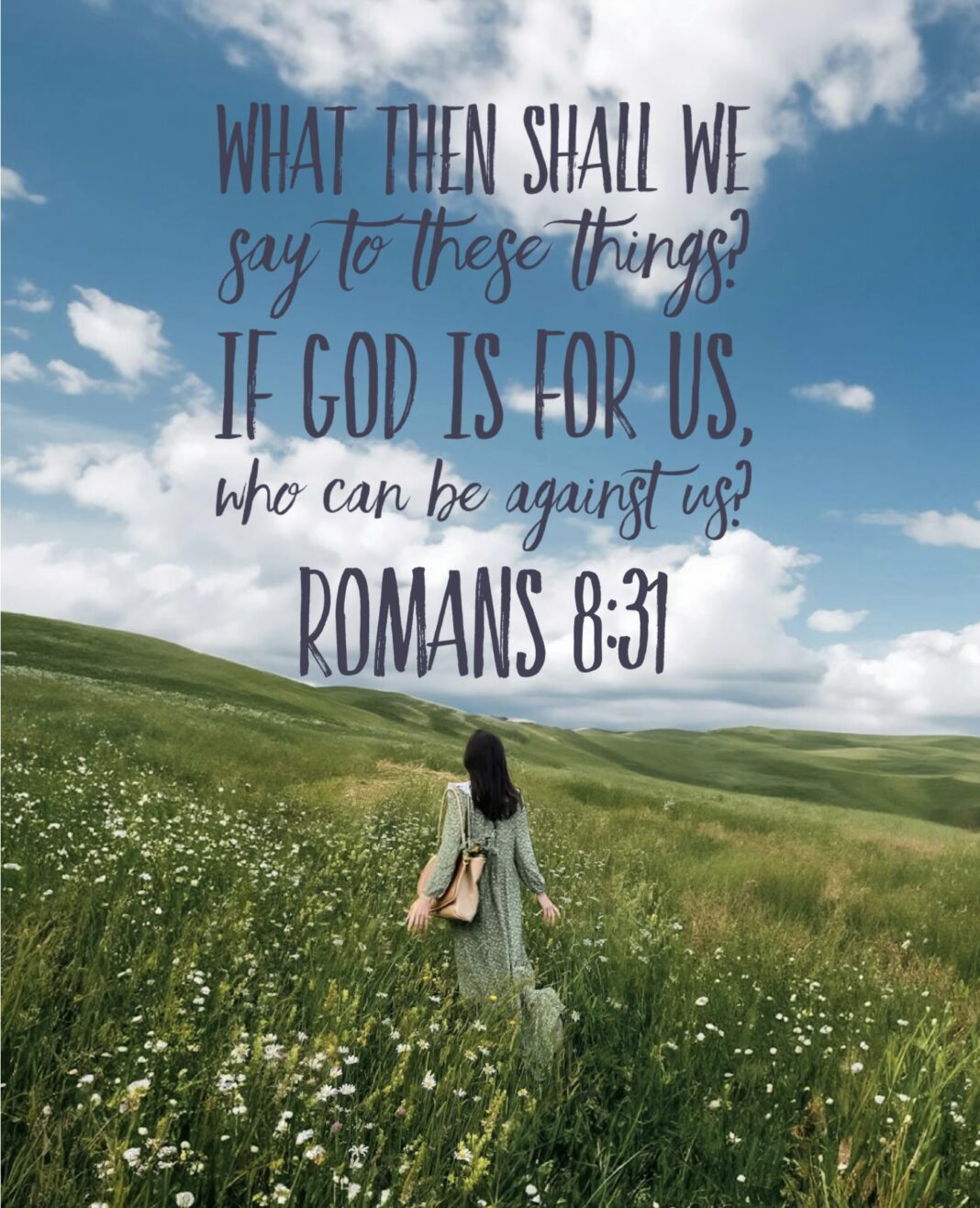 Romans 8 31
