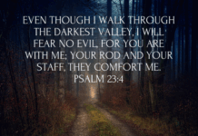 Psalm 23:4 Psalm 23_4