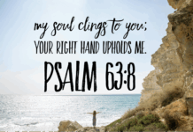 Psalm 63:8 Psalm 63-8