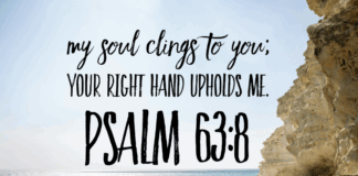 Psalm 63:8 Psalm 63-8