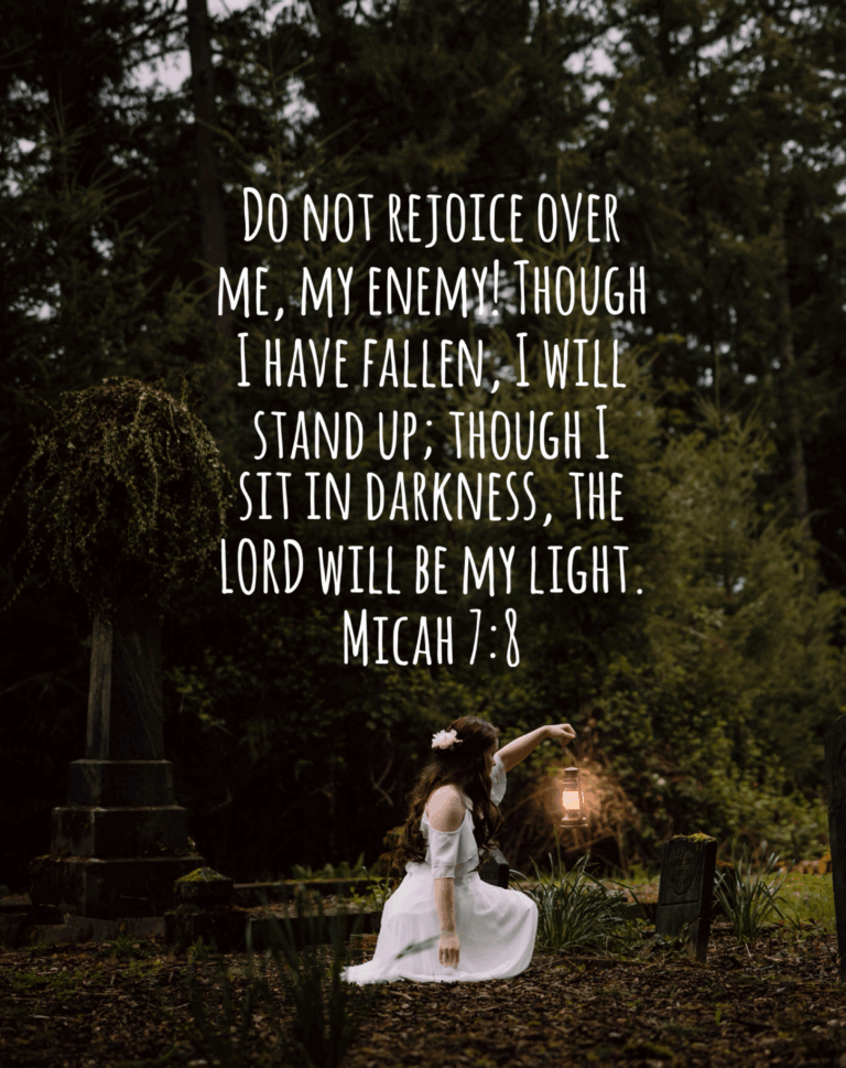 Micah 7:8