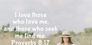 Proverbs 8:17 Proverbs 8:17