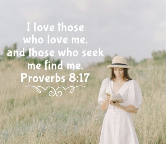 Proverbs 8:17 Proverbs 8:17