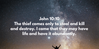 John 10:10 John 10:10