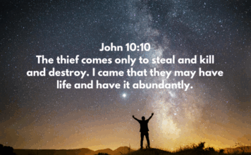 John 10:10 John 10:10