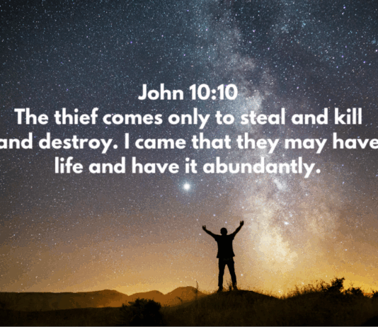 John 10:10 John 10:10