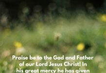 1 Peter 1:3 1 PETER 1 3