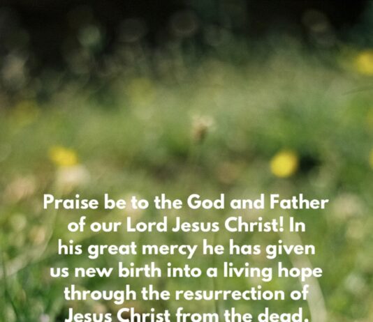 1 Peter 1:3 1 PETER 1 3