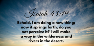 Isaiah 43:19 Isaiah 43-19