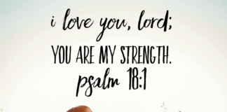 Psalm 18:1 Psalm 18 1