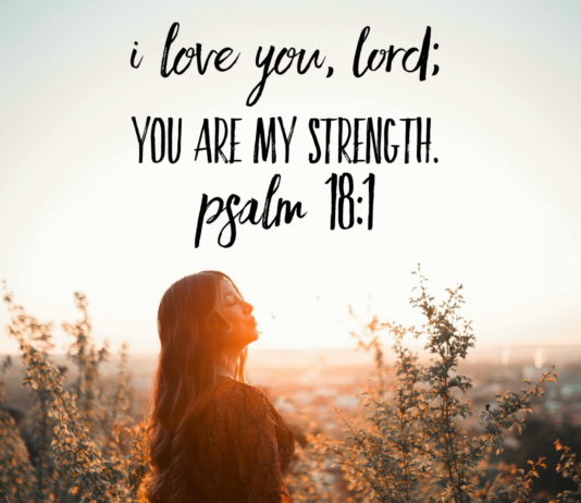 Psalm 18:1 Psalm 18 1