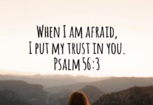 Psalm 56:3 Psalm 56-3